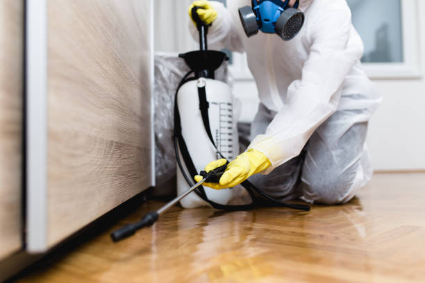 Best Pest Control for Restaurants  in Frankfort, MI
