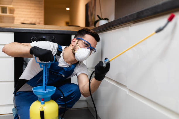 Best Flea Control Services  in Frankfort, MI