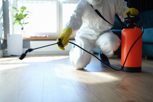 Best Emergency Pest Control  in Frankfort, MI