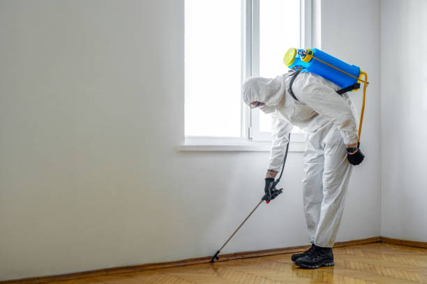 Best Flea Control Services  in Frankfort, MI