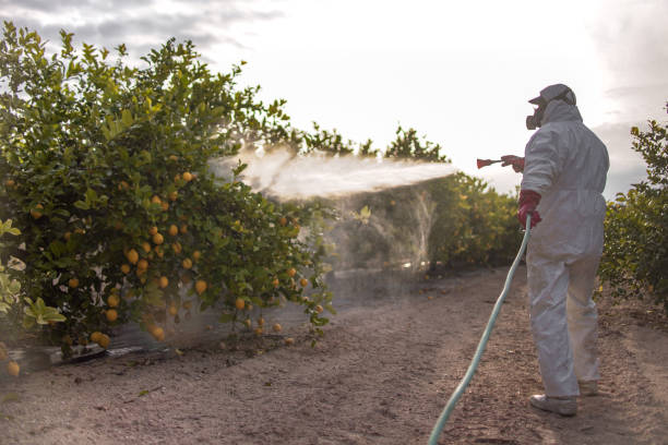  Frankfort, MI Pest Control Pros