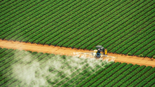 Best Commercial Pest Control Services  in Frankfort, MI
