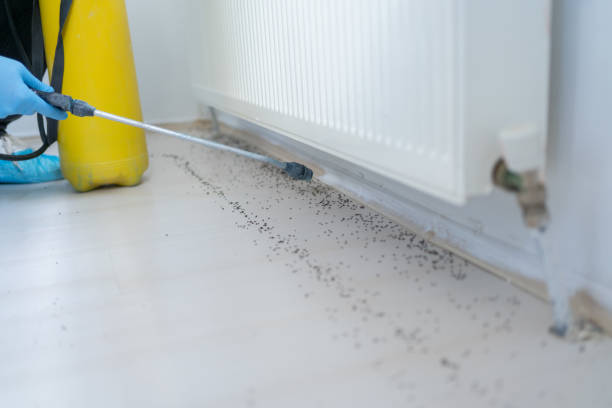 Best Flea Control Services  in Frankfort, MI