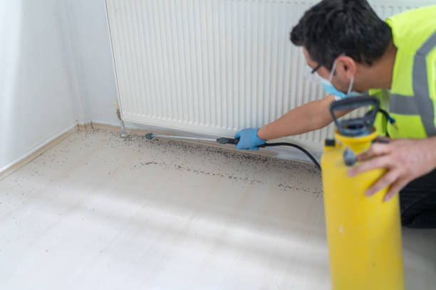 Best Ant Control Services  in Frankfort, MI