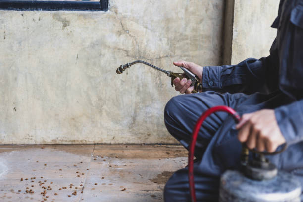 Best Emergency Pest Control  in Frankfort, MI